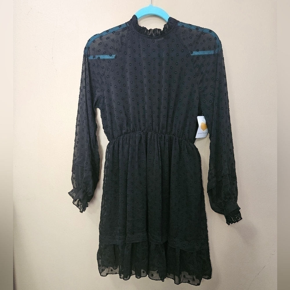 NWT Amour OC High Neck Wednesday Longsleeve Dress Women Size S Black Swiss Dot